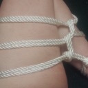 megapherthedragon avatar