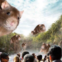 megaphonetothevoid avatar