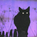 meggiesresources avatar