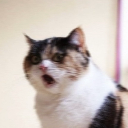 megs-the-magnificent avatar