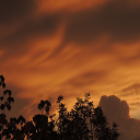 megzzipegzzi99 avatar