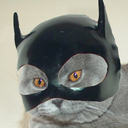 meinkatertequila-blog avatar