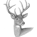 mel4nch0ly-blog avatar