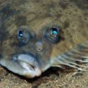 melancholeemars avatar