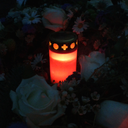 melancholic-haze avatar