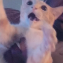 melancholicmarionette avatar