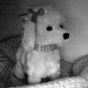 melancholicmoonx avatar