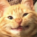 melancholicorangecat avatar