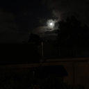 melancholicprincess avatar