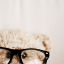 melancholicstares avatar