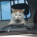 melancholicwordsbynobody avatar