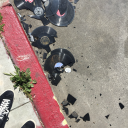 melancholyy-madness avatar