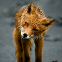 melandcompany avatar