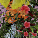 melanie-pastr avatar