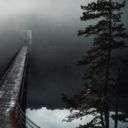 melanie250912 avatar