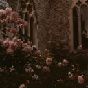 melanieedarcy avatar