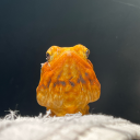 melaniewertheim avatar