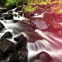 melhoreseululu avatar