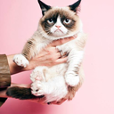 melhoresgifsdomundo avatar