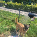 melisacrm-blog avatar