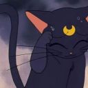 melissa-moody avatar