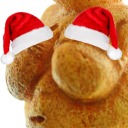 meliteles-tits avatar