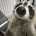 mellonasmoody avatar