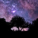 melodia-de-una-despedida avatar