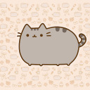 melody-cat-xd avatar