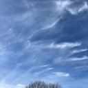 melody-pendras avatar