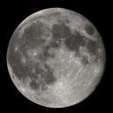 melodywanderer avatar