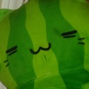 melon-cat-cult avatar