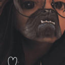 melondewmigraine avatar