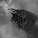 melononthefloor avatar