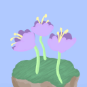 melonpond avatar