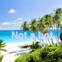 melonqueensstuff avatar