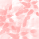 melontheinternet avatar