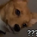 meloooooooooooooo avatar