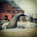 meltdownsworld avatar