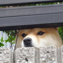 melting-clouds avatar