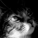 melyfarje-blog avatar