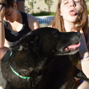 melzaddiction avatar