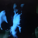 memadsanddyingfads avatar