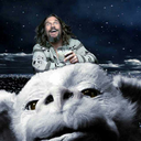 meme-a-saurus-rex avatar