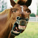 meme-queen-98 avatar