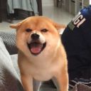 memento-moris-things avatar