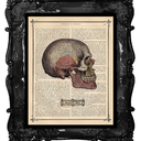 memes-of-reason avatar