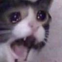 memesformememe avatar