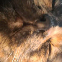 memesoftvandmore avatar