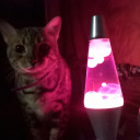 memoirs-of-a-nerd20 avatar